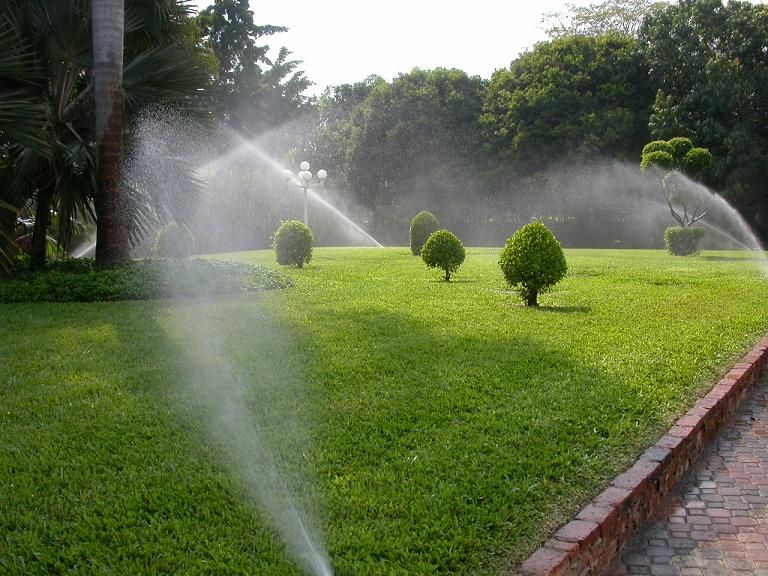 Lawn Planting Services