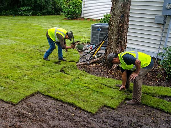 Sod Installation